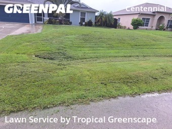 Lawn Cutting nearby Lehigh Acres, FL, 