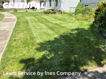 Grass Cuttingin Orland Park,60462,Yard Mowing by Ines Company, work completed in Dec , 2025