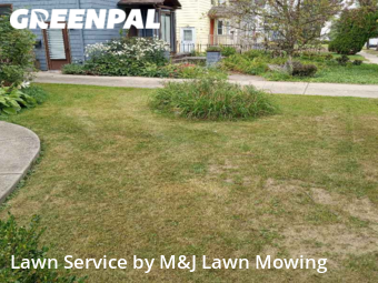 Yard Mowing nearby Buffalo, NY, 