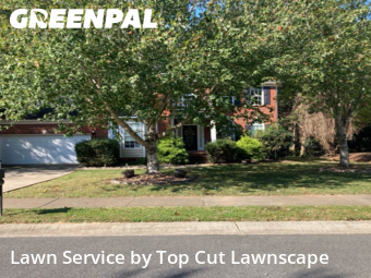 Lawn Cutting nearby Matthews, NC, 