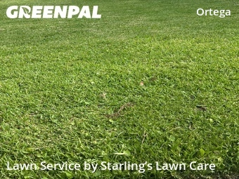 Lawn Mowing Service nearby Jacksonville, FL, 