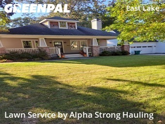Backyard Mowing in Decatur, 30032, Lawn Management by Alpha Strong Hauling, work completed in Nov , 2025