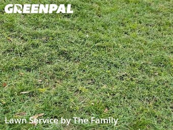 Lawn Mowing Service nearby Orlando, FL, 