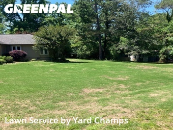 Commercial Landscaping In Athens,35613,Landscapers by Yard Champs, work completed in Jun , 2026