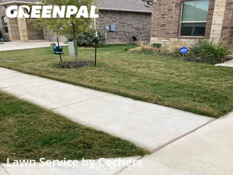Lawn Cut nearby Pflugerville, TX, 