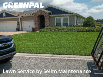 Grass Cut nearby St. Augustine, FL, 