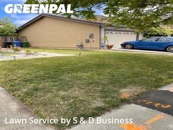 Lawn Mowing Service nearby Fremont, CA, 