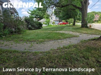 Lawn Maintenancein Elgin,60120,Yard Mowing by Terranova Landscape, work completed in Nov , 2025