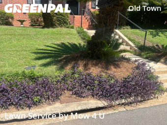 Grass Cutting nearby Tallahassee, FL, 