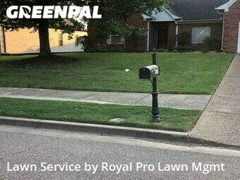 Lawn Cut nearby Olive Branch, MS, 