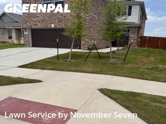 Lawn mowed in Round Rock, 78665