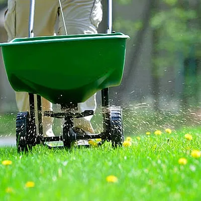 Arizona Lawn King Inc Photo 9