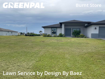 Lawn Care nearby Cape Coral, FL, 