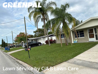 Lawn Cutting nearby Port Richey, FL, 