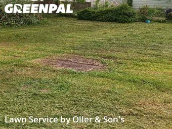 Lawn Cutting nearby Springfield, IL, 
