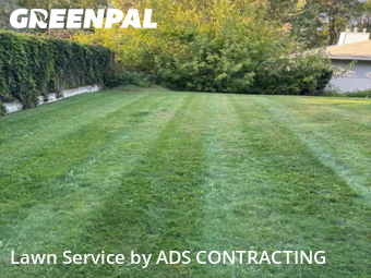 Lawn Cutting nearby Green Bay, WI, 