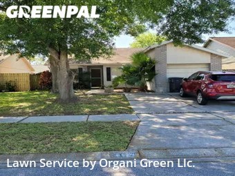 Yard Cutting nearby Brandon, FL, 