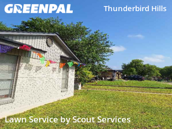 Grass Cut nearby San Antonio, TX, 