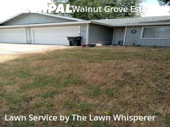Lawn Mowing Service nearby Citrus Heights, CA, 