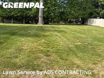 Lawn Cut nearby Green Bay, WI, 