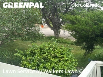 Yard Mowing nearby Colorado Springs, CO, 
