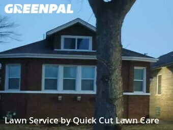 Grass Cut nearby Chicago, IL, 