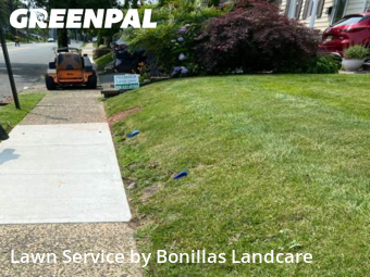 Lawn Mowing nearby Roselle Park, NJ, 