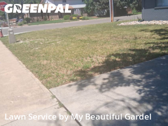 Yard Cutting nearby Longmont, CO, 