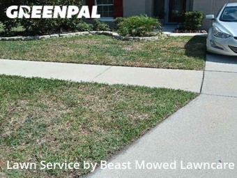 Yard Cutting nearby Wesley Chapel, FL, 