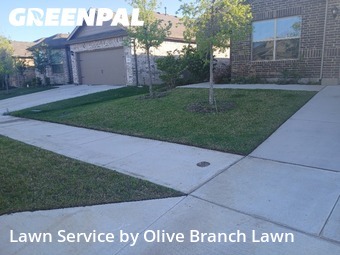 Lawn Cut nearby Fort Worth, TX, 