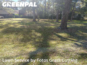 Lawn mowed in Wekiwa Springs, 32712
