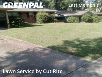 Lawn Mowing Service nearby Memphis, AR, 