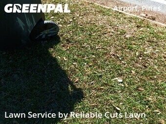 Yard Cutting nearby Shreveport, LA, 