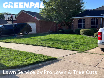 Lawn Mow nearby Arlington, TX, 