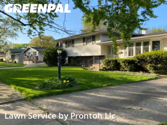 Lawn Mow nearby Lansing, IL, 