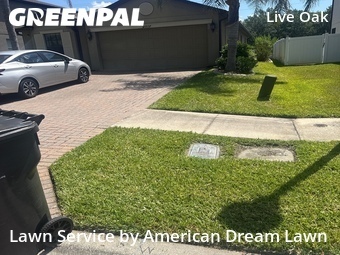 Lawn Cut nearby Tampa, FL, 