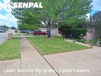Grass Cut nearby Grand Prairie, TX, 