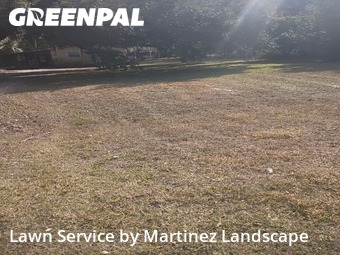 Lawn mowed in Lady Lake, 32159