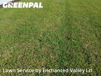 Lawn Maintenance nearby Daytona Beach, FL, 