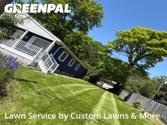 Lawn mowed in Waterford Township, 48328