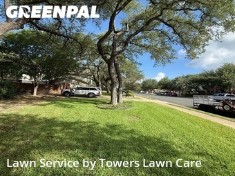 Lawn Care nearby Cedar Park, TX, 
