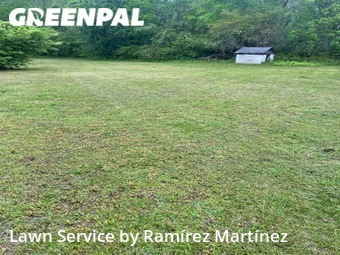 Lawn Cutting nearby Chapel Hill, NC, 