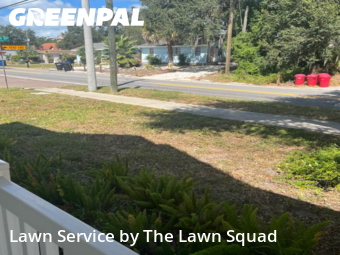 Lawn Cut nearby Clearwater, FL, 