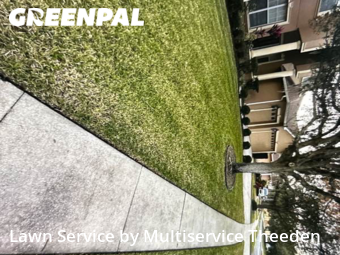 Lawn Cut nearby St. Cloud, FL, 