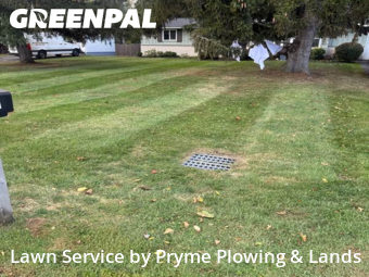 Yard Cutting nearby Rochester, NY, 