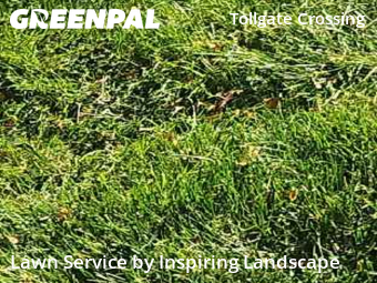 Yard Mowingin Aurora,80016,Yard Mowing by Inspiring Landscape, work completed in Nov , 2025