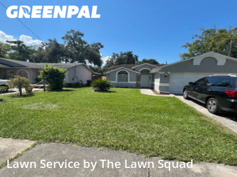 Lawn Maintenance nearby Clearwater, FL, 