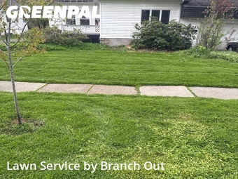 Lawn Service nearby Hamburg, NY, 