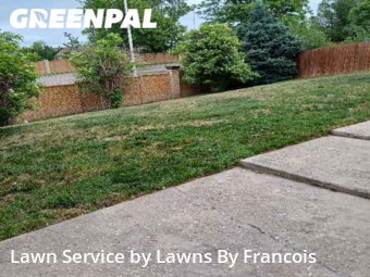 Grass Cutting nearby Colorado Springs, CO, 