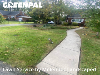 Turf Services in Towson, 21286, Backyard Mowing by Melendez Landscaped , work completed in Nov , 2025